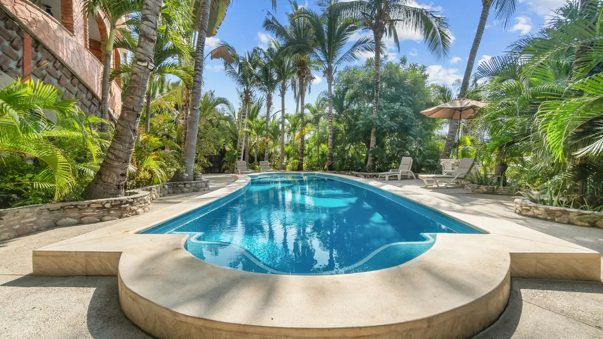 Turtle HouseCasa Tortuga — foto 6