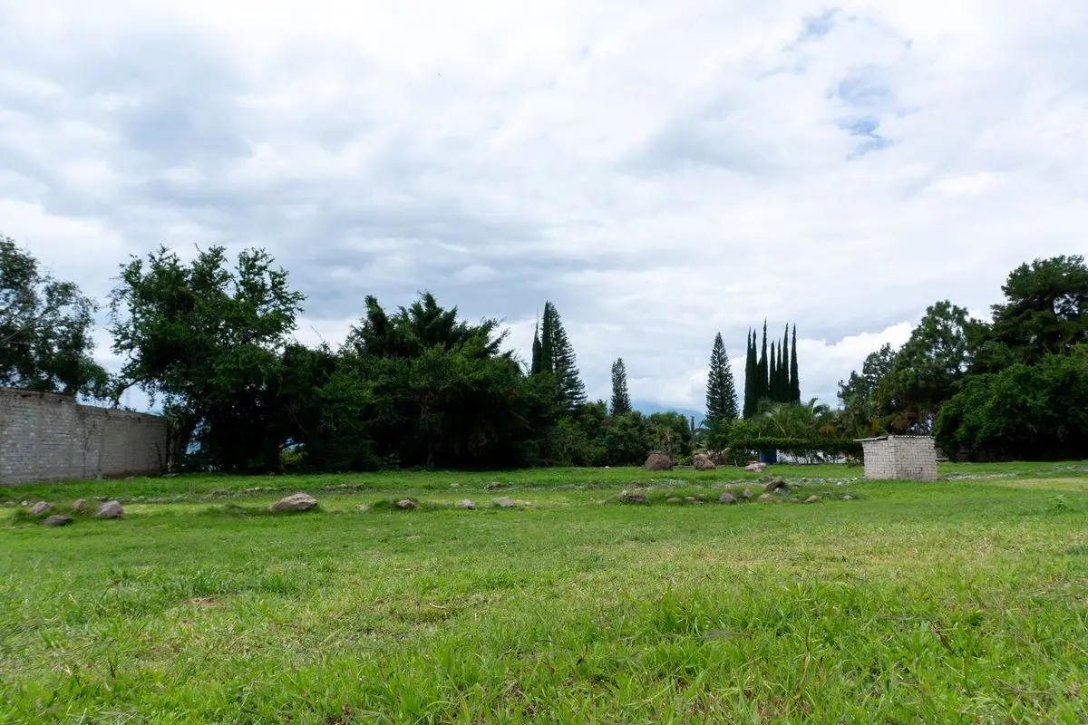 Land Vicente Arroyo AjijicTerreno Vicente Arroyo Ajijic — foto 3
