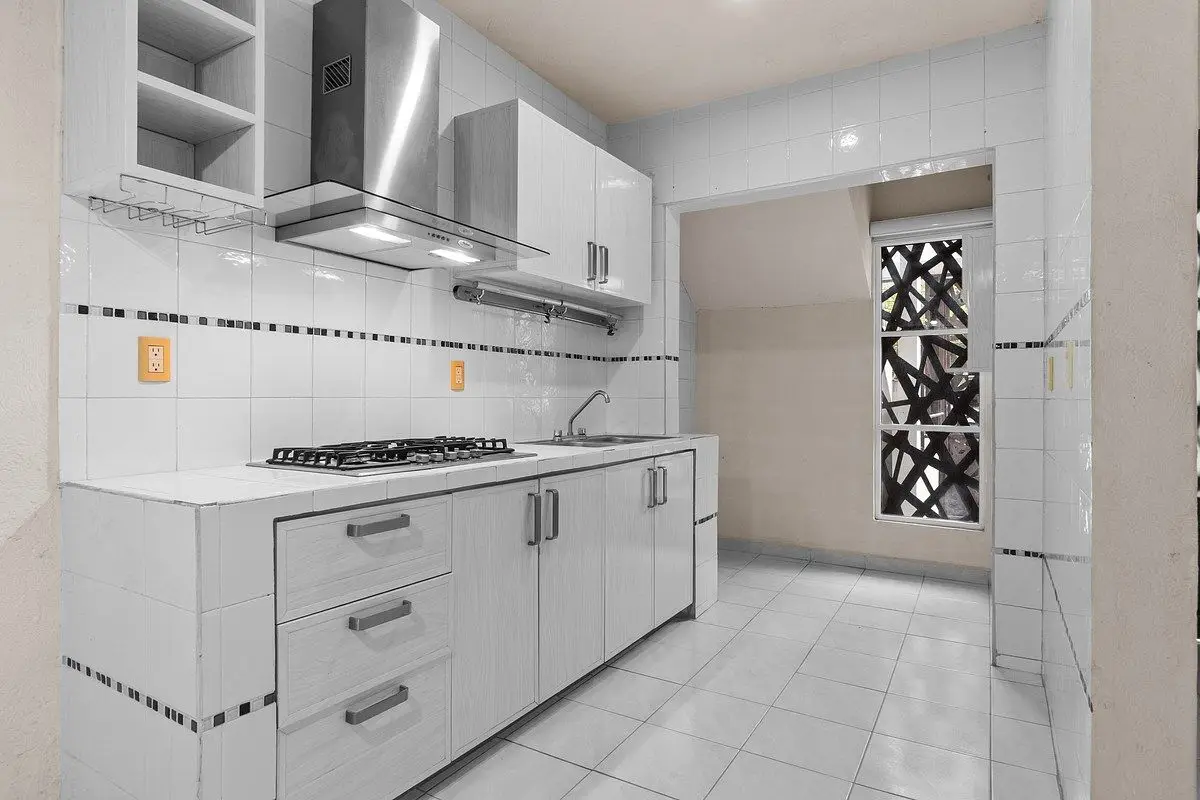 Palma Kentia 191 — foto 3