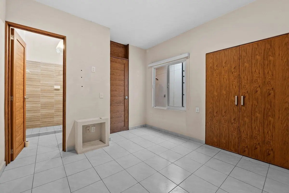 Palma Kentia 191 — foto 4