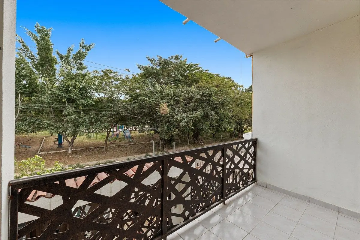 Palma Kentia 191 — foto 5