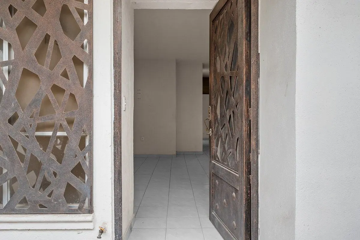 Palma Kentia 191 — foto 6
