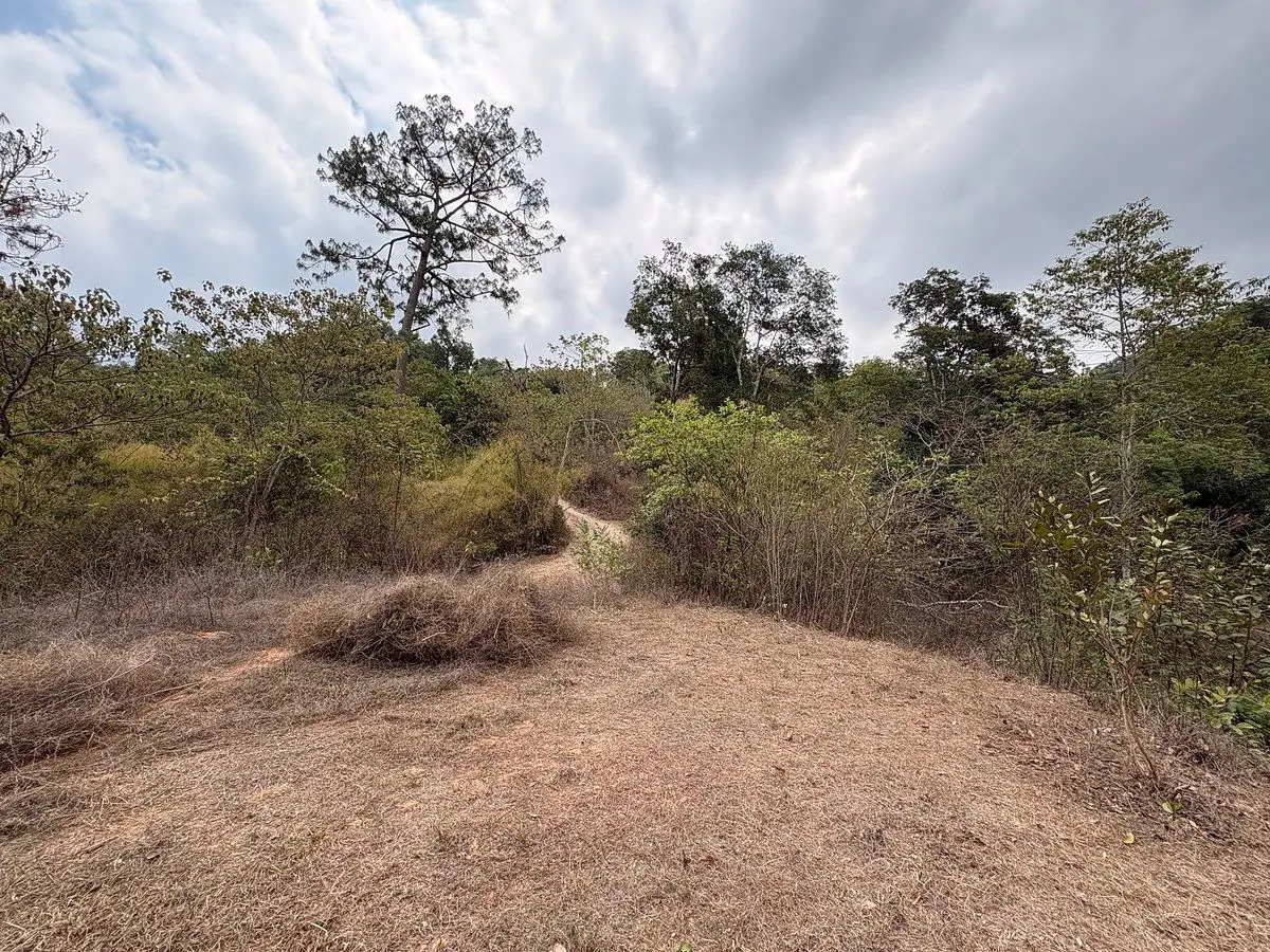 Terreno Sierra Paraiso — foto 5