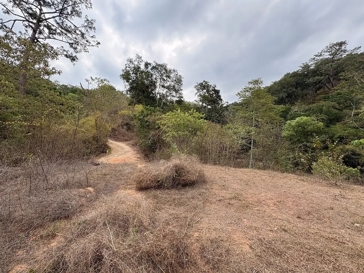 Terreno Sierra Paraiso — foto 6