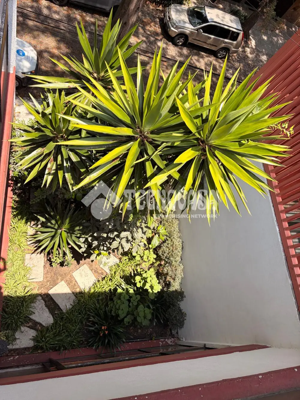 Casa en San Angel Inn — foto 12