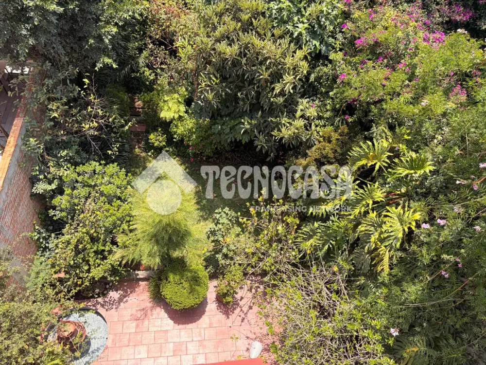 Casa en San Angel Inn — foto 6