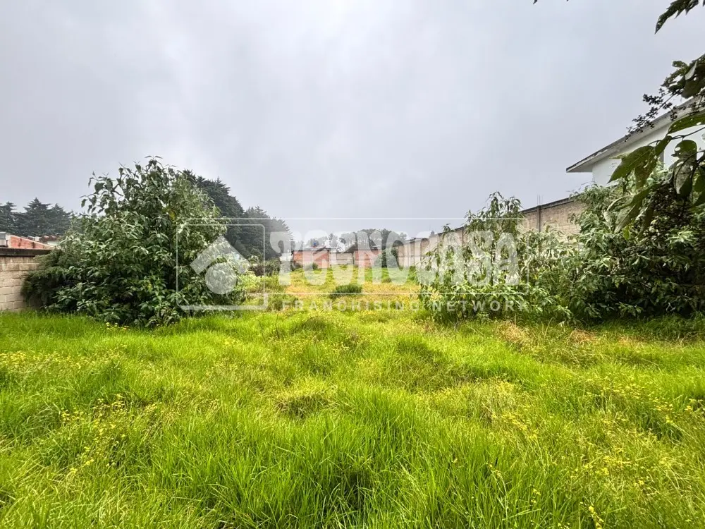 Terreno en Bosques de Mexico — foto 2