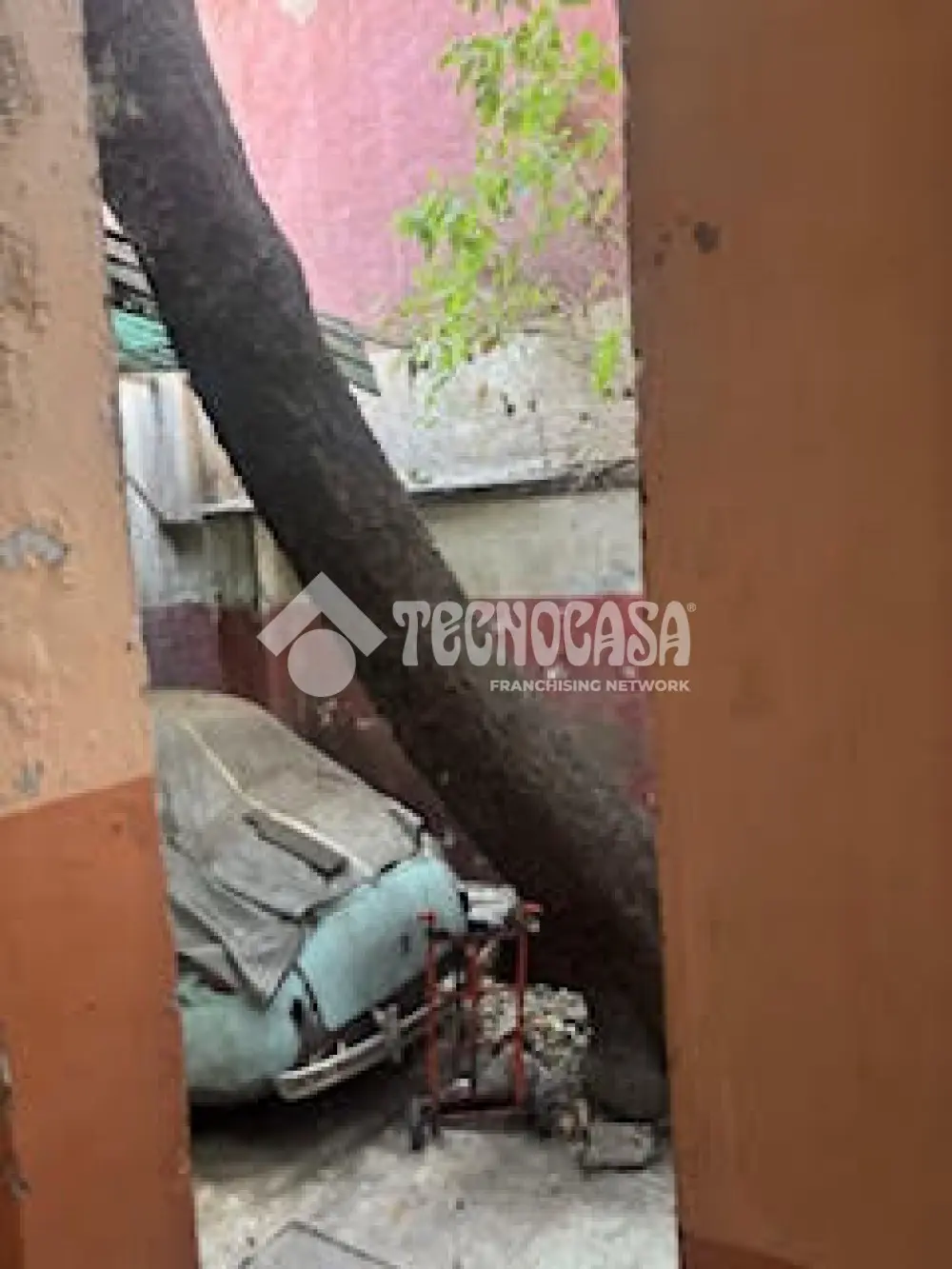 Terreno en Guerrero — foto 9