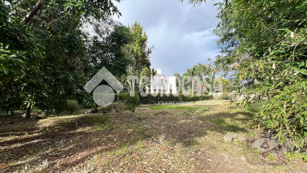 Terreno en Ex-Hacienda Concepcion Buenavista — foto 4