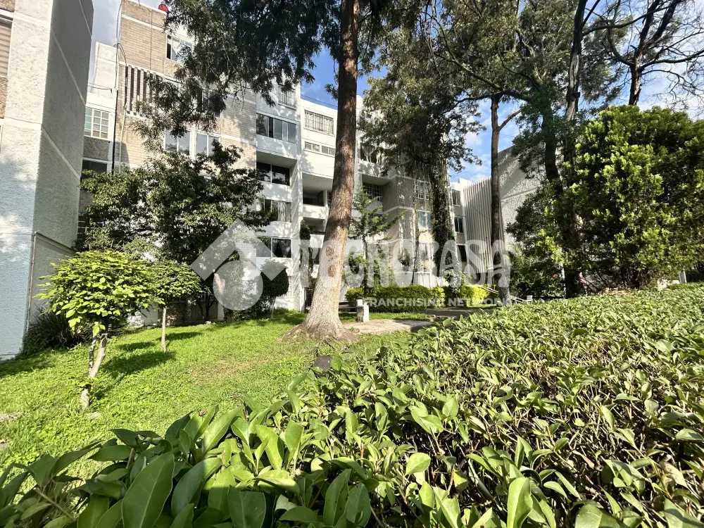 Departamento en Alianza Popular Revolucionaria — foto 4
