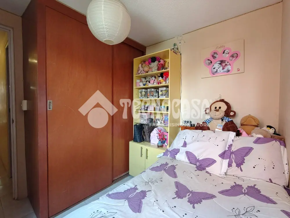 Departamento en Pedregal de Santa Ursula — foto 3