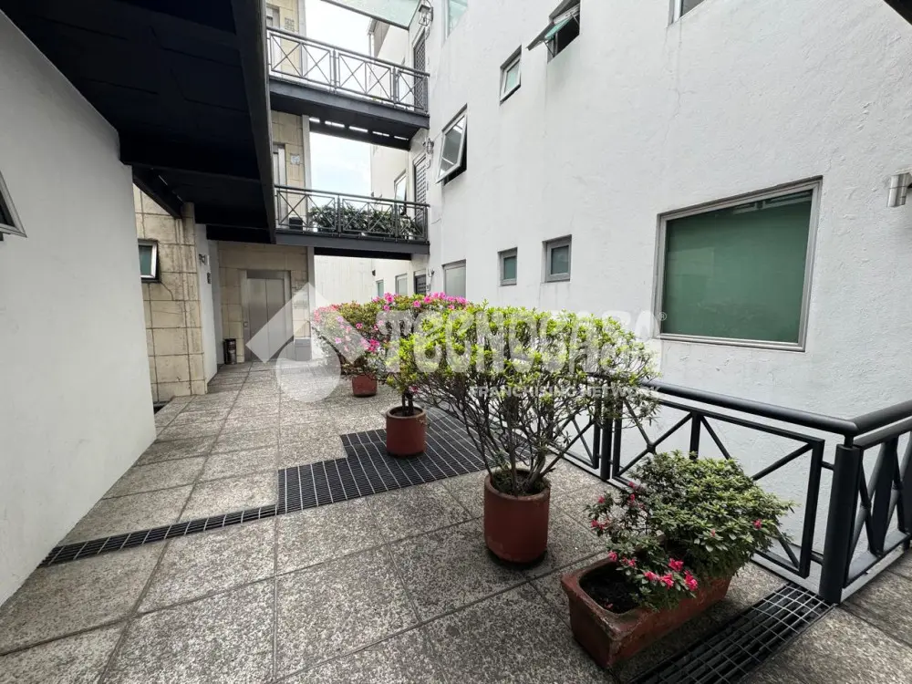Departamento en San Miguel Chapultepec I Seccion — foto 2