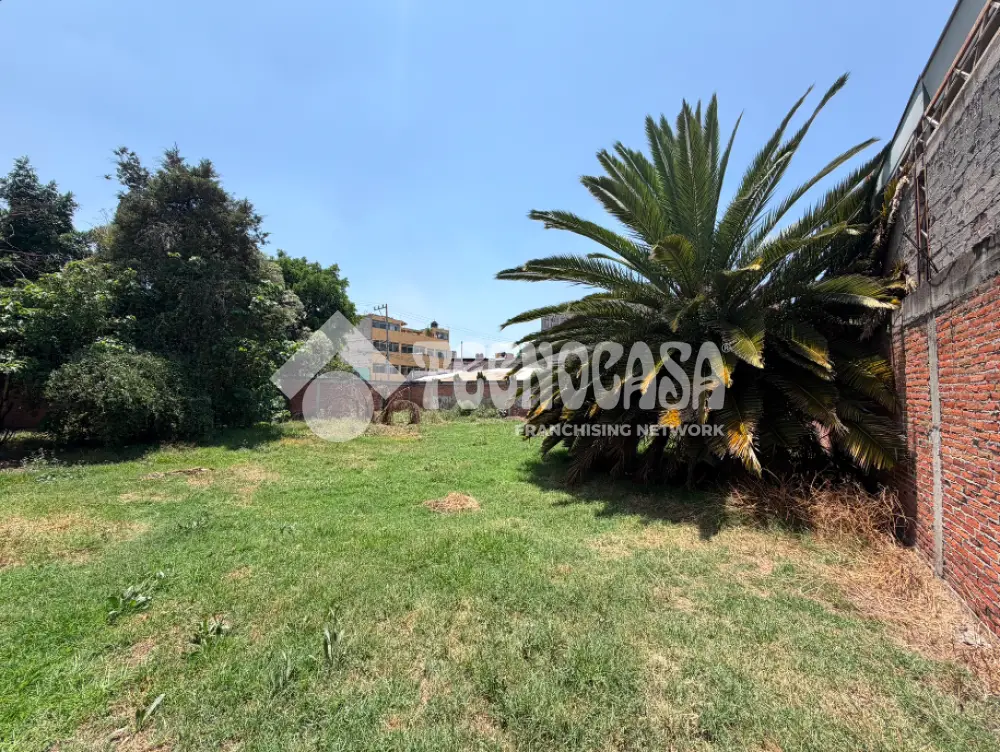 Terreno en el Vergel — foto 5
