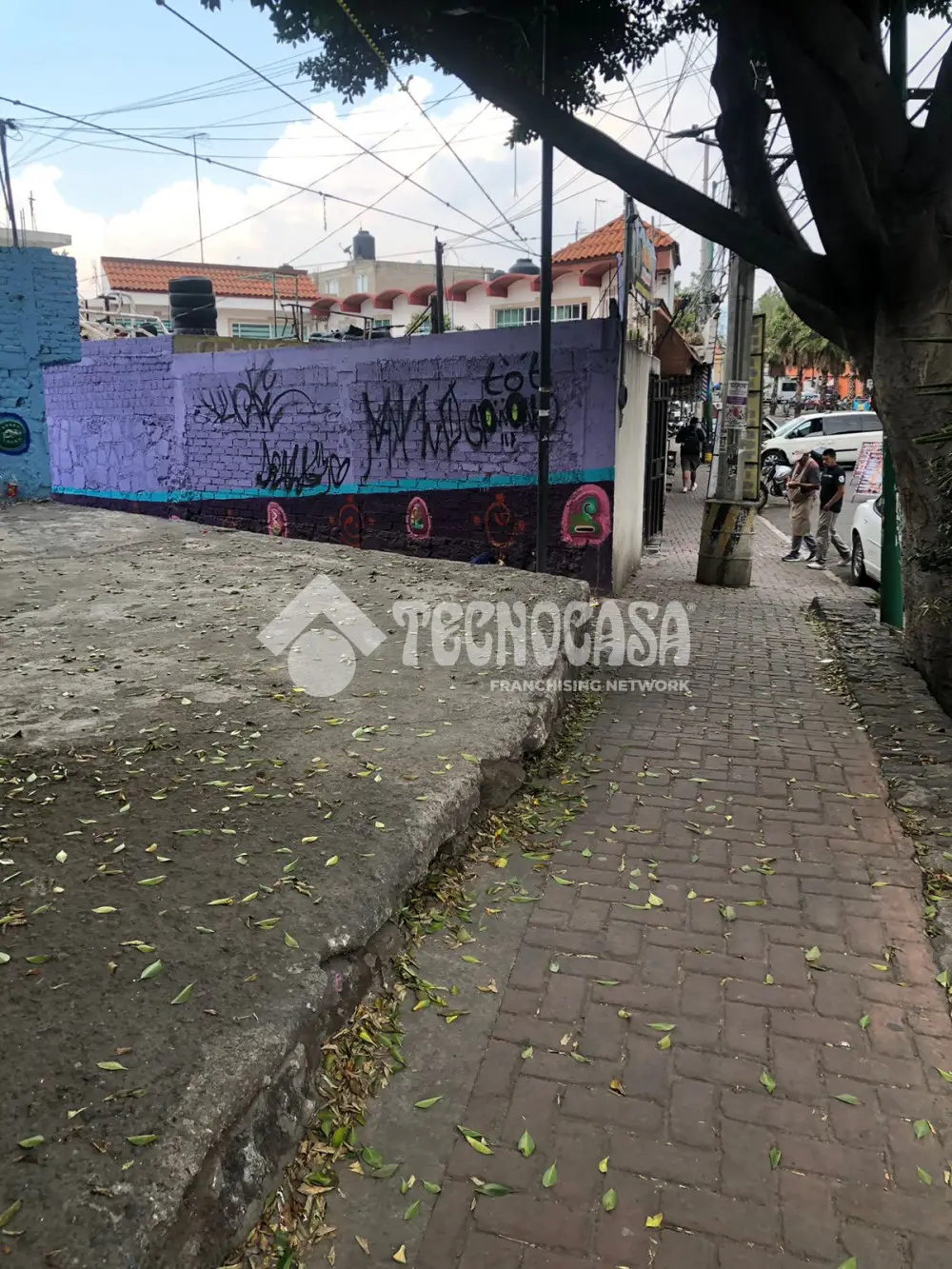 Terreno en San Francisco Culhuacan Barrio de San Francisco — foto 3