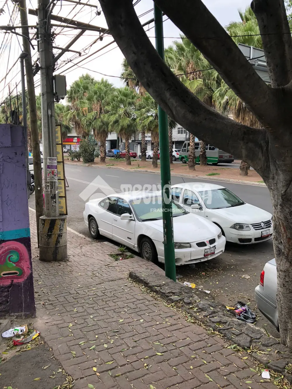 Terreno en San Francisco Culhuacan Barrio de San Francisco — foto 7