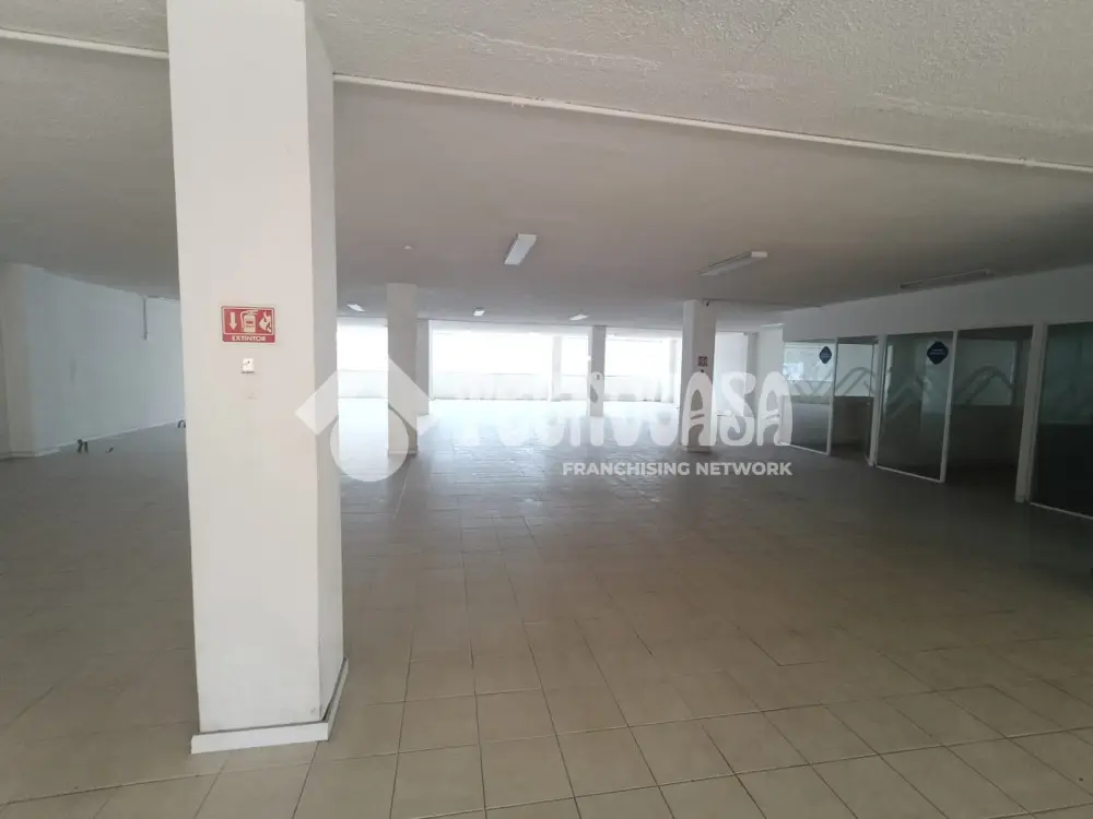 Oficina en San Miguel Chapultepec I Seccion — foto 3