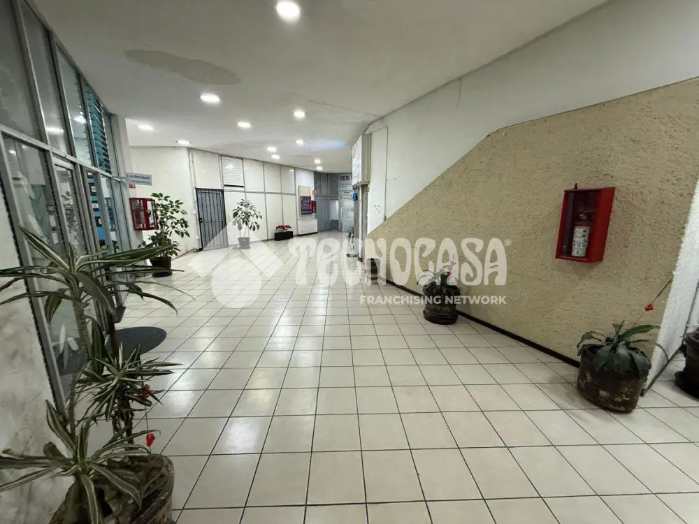 Local Comercial en Barrio Oxtopulco Universidad — foto 3