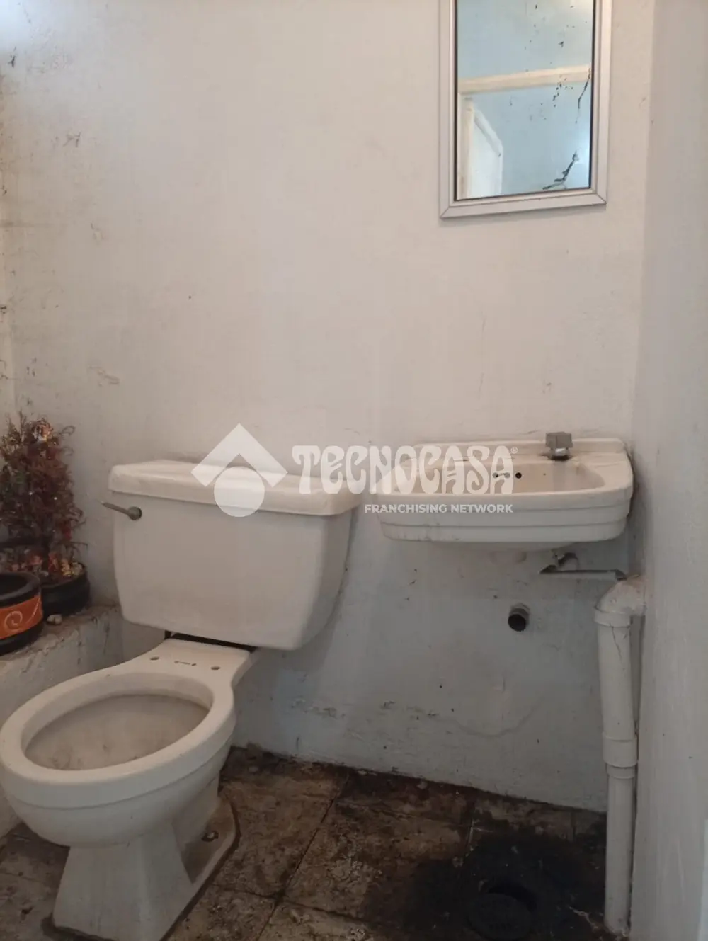 Local Comercial en Pedregal de Santo Domingo — foto 3