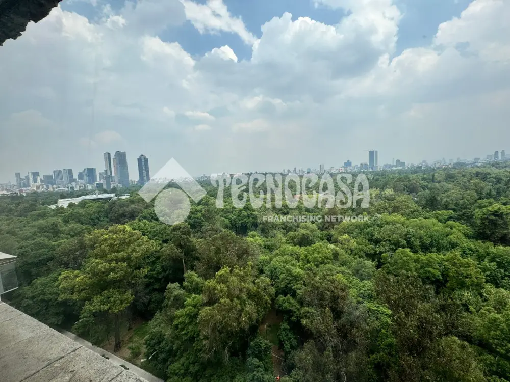 Departamento en Polanco V Seccion — foto 4