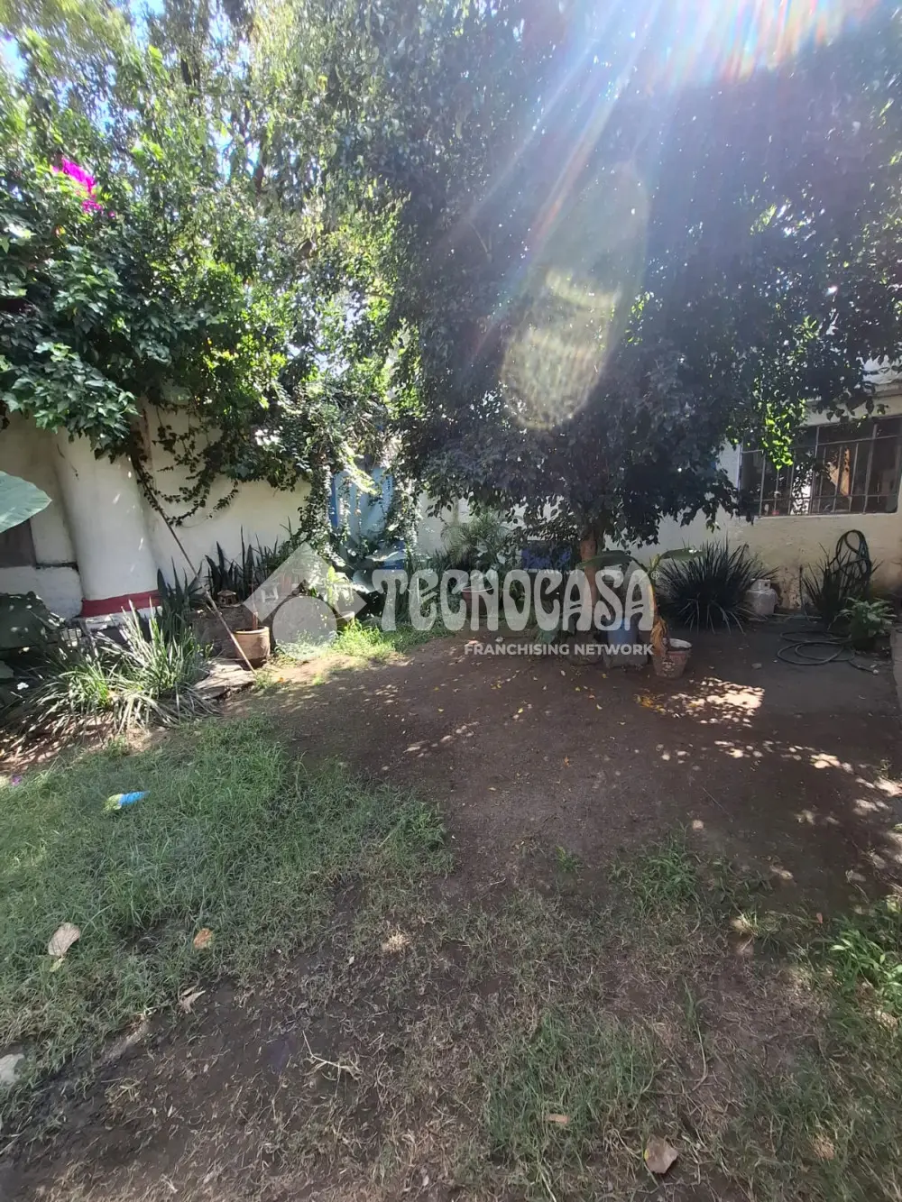 Casa en Pedregal de Coyoacan — foto 7