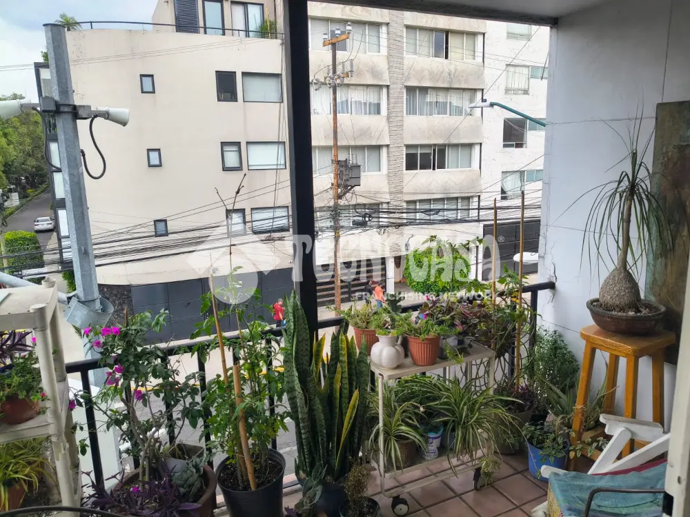 Edificio en Irrigacion — foto 4