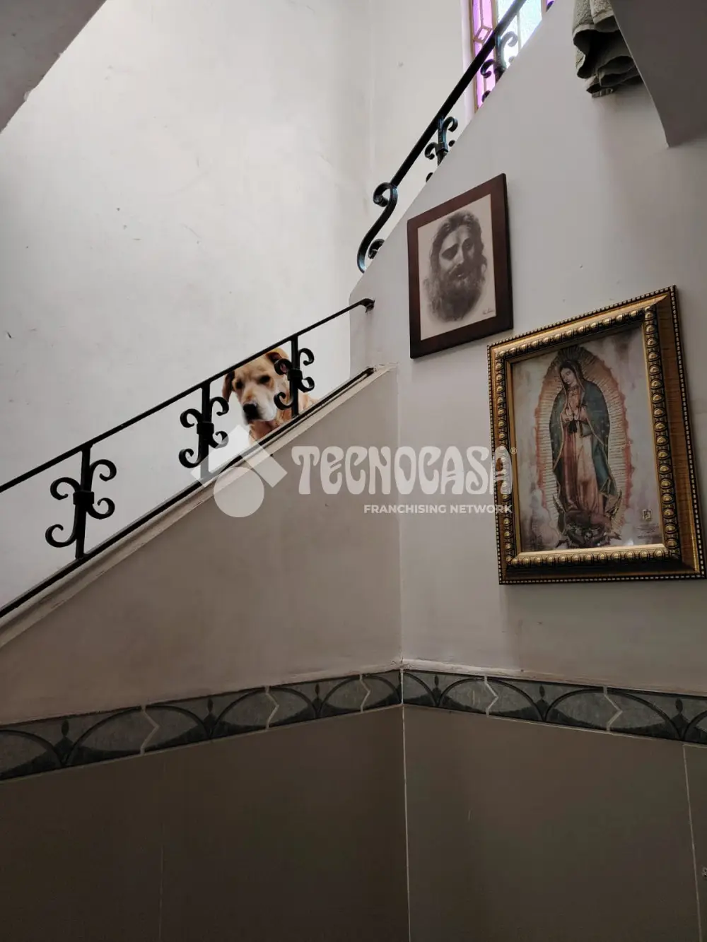 Casa en Tepeyac Insurgentes — foto 9