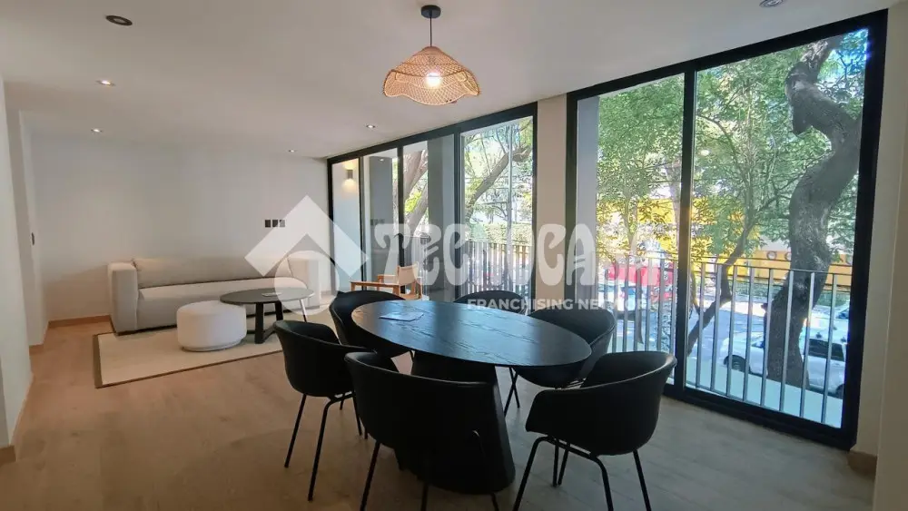 Departamento en Roma Sur