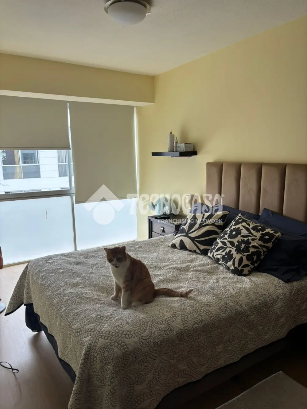 Departamento en Piedad Narvarte — foto 10