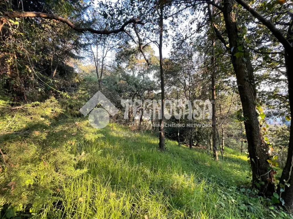 Terreno en Tetelpan — foto 3