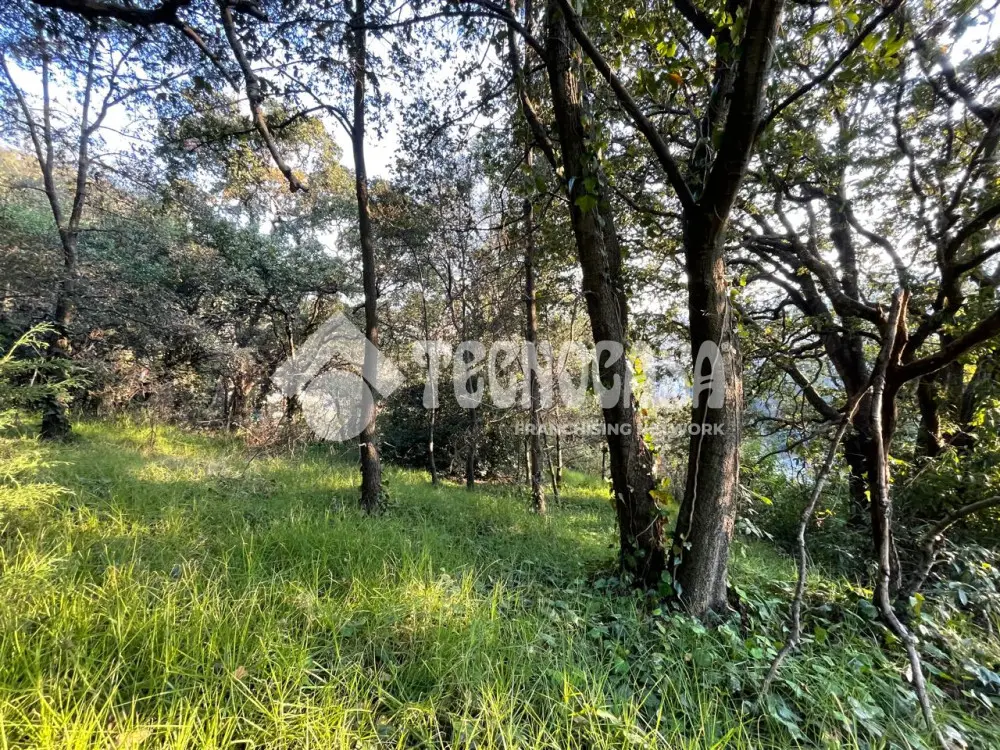 Terreno en Tetelpan — foto 4