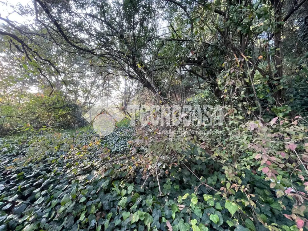 Terreno en Tetelpan — foto 5