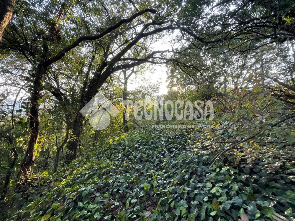Terreno en Tetelpan — foto 6