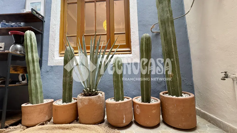 Casa en Hipodromo — foto 9