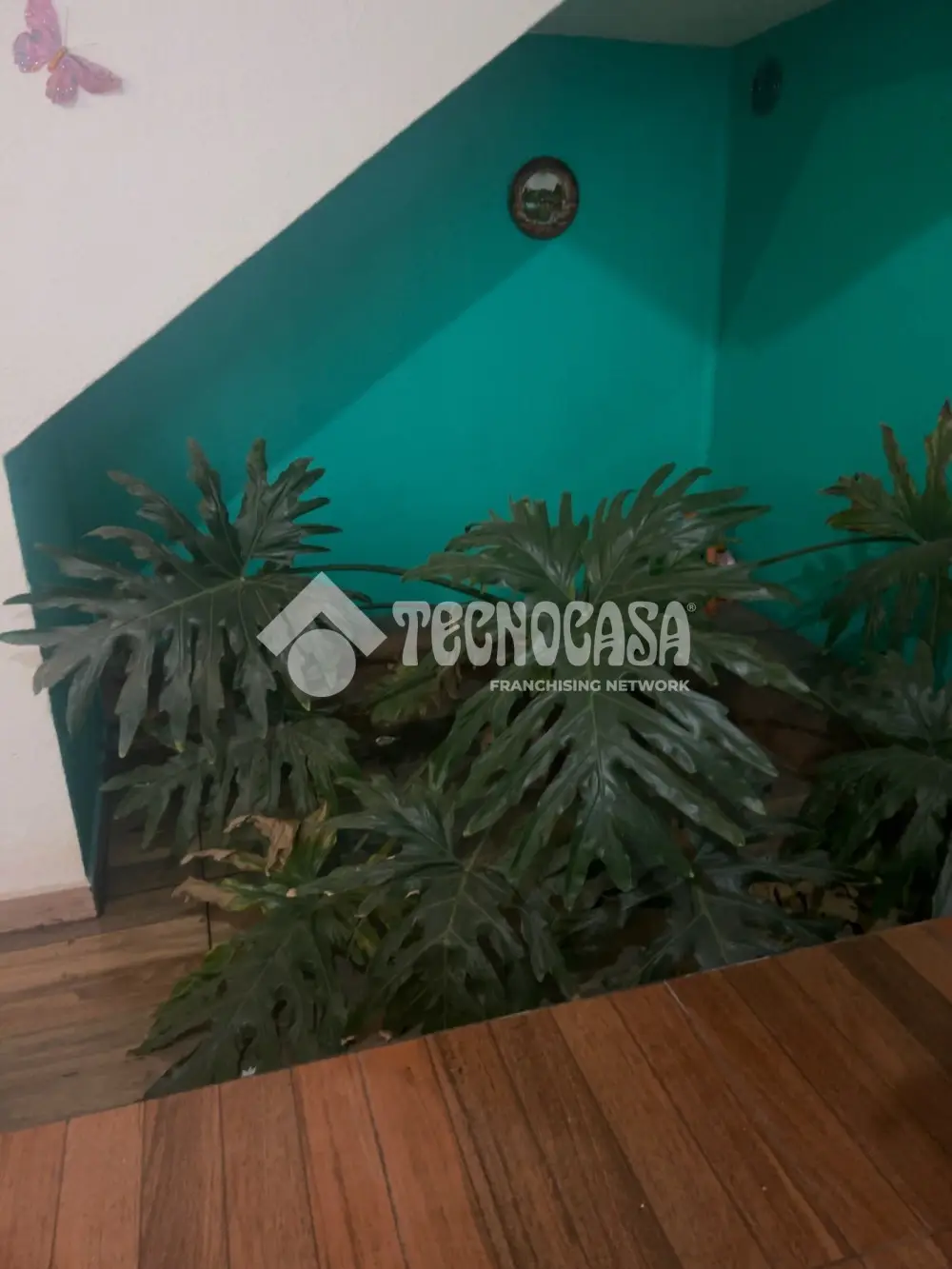 Casa en Santo Tomas — foto 8