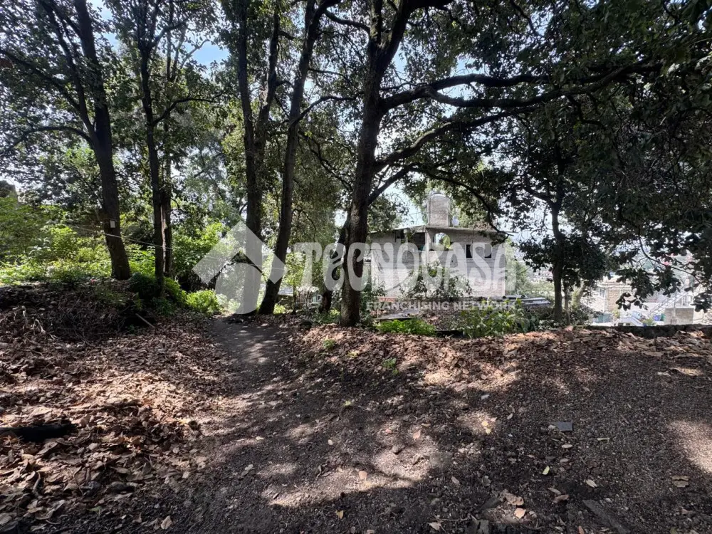 Terreno en Lomas del Pedregal — foto 2