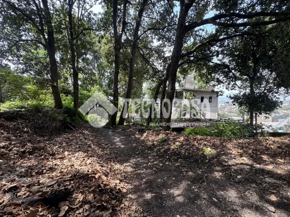 Terreno en Lomas del Pedregal — foto 11