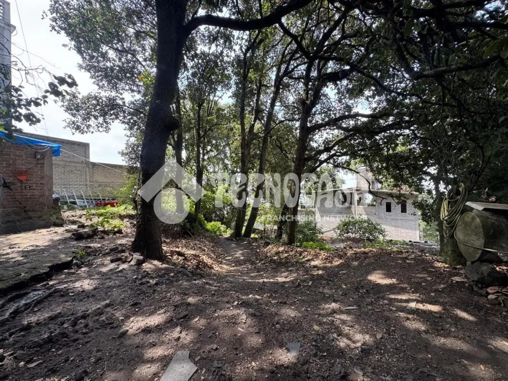 Terreno en Lomas del Pedregal — foto 4