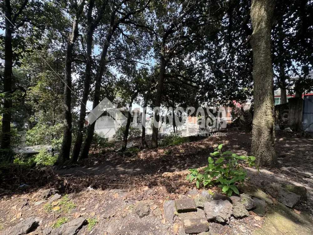 Terreno en Lomas del Pedregal — foto 6