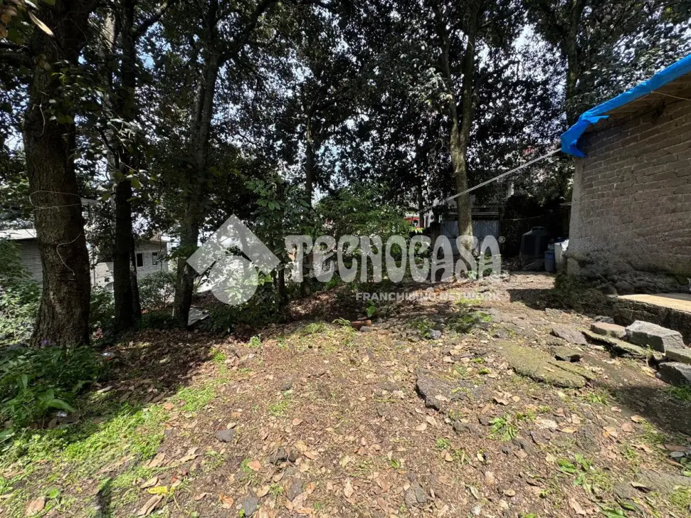 Terreno en Lomas del Pedregal — foto 7