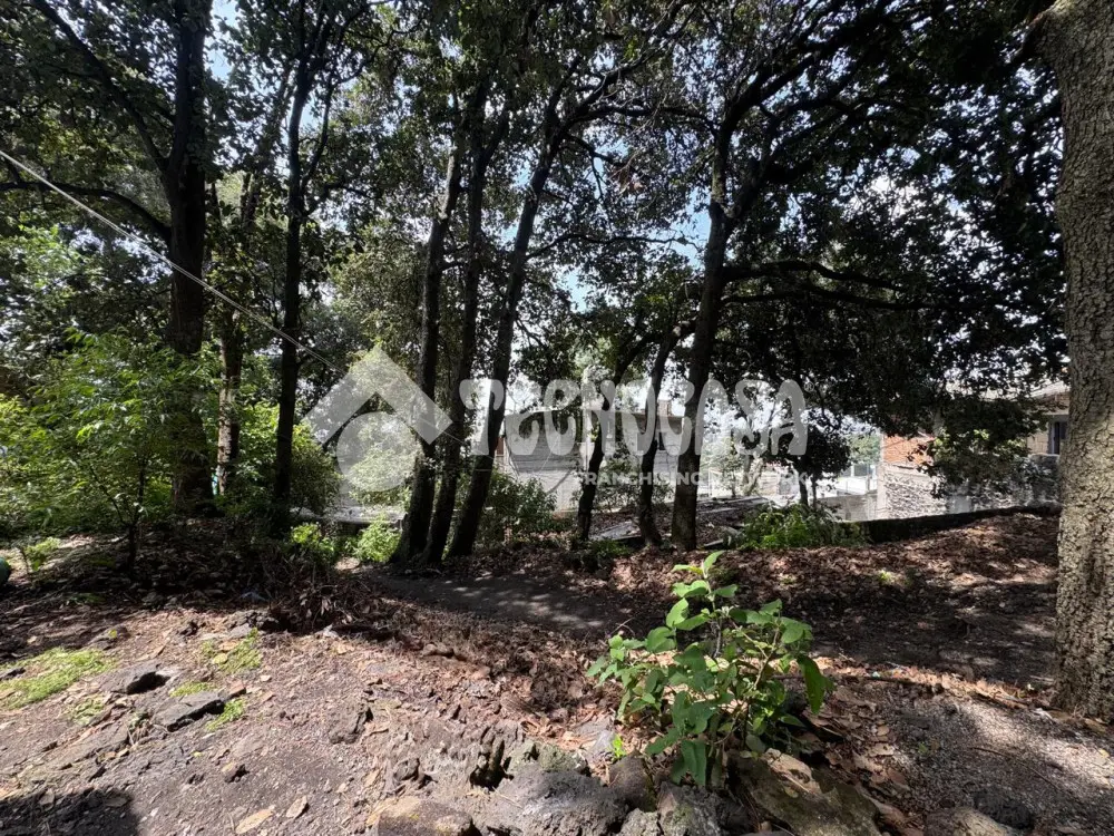 Terreno en Lomas del Pedregal — foto 9