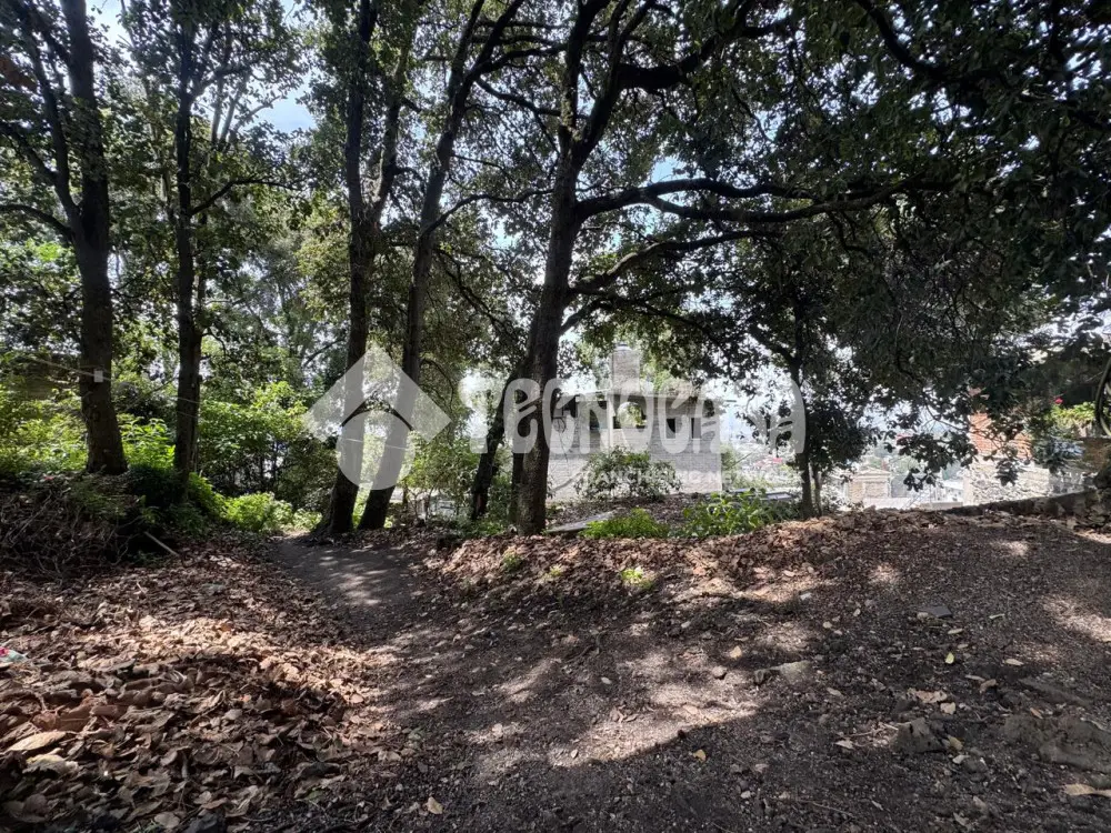 Terreno en Lomas del Pedregal — foto 10