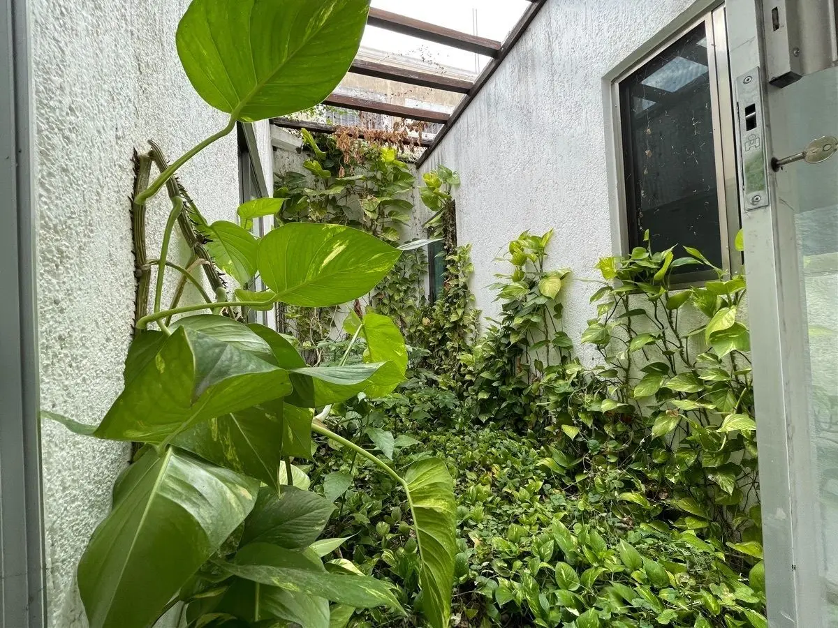 Casa de 1 Planta y 2 Recámaras en Venta , en Jardines de Vista Alegre — foto 6