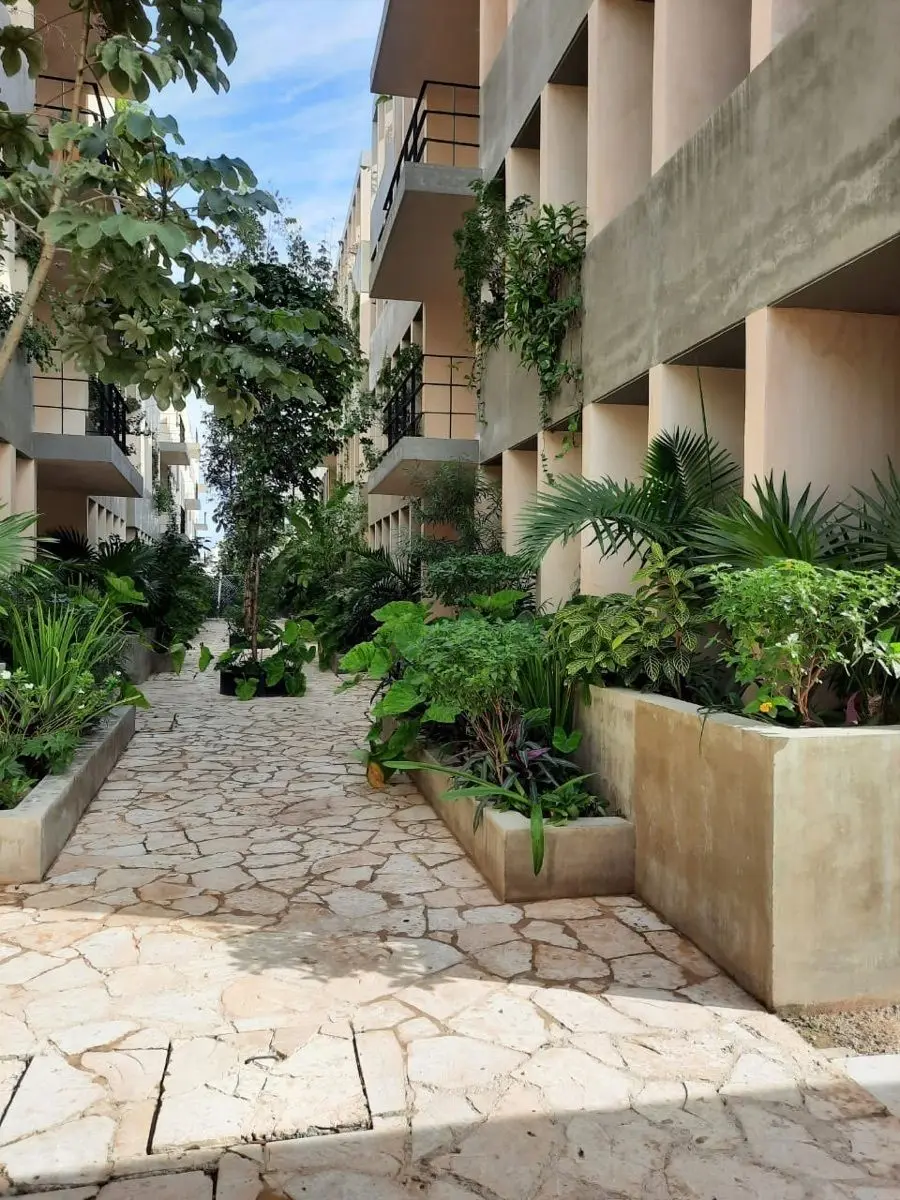 Departamento Amueblado en Renta en Helía, Santa Gertrudis Copó — foto 2