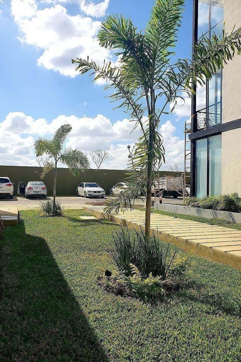 Departamento Sin Aval en Temozón Norte Pet Friendly - a 15 Min. de U. Anáhuac — foto 5