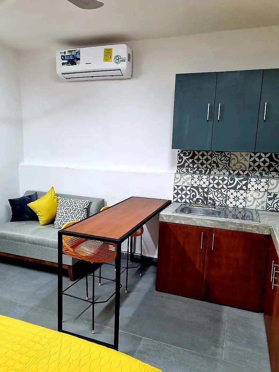 Estudio Amueblado en Planta Baja, Zona Col. México y Montecristo