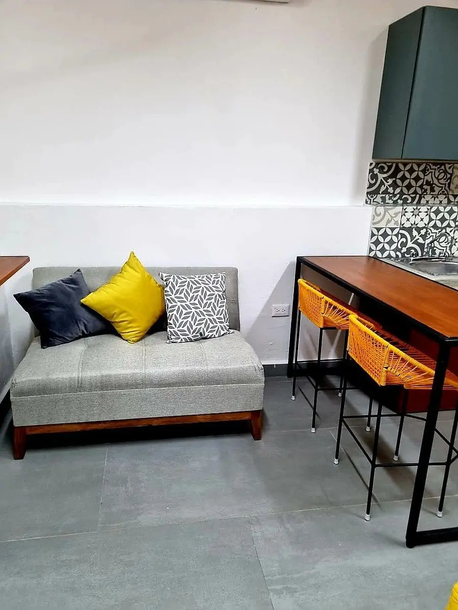Estudio Amueblado en Planta Baja, Zona Col. México y Montecristo — foto 2