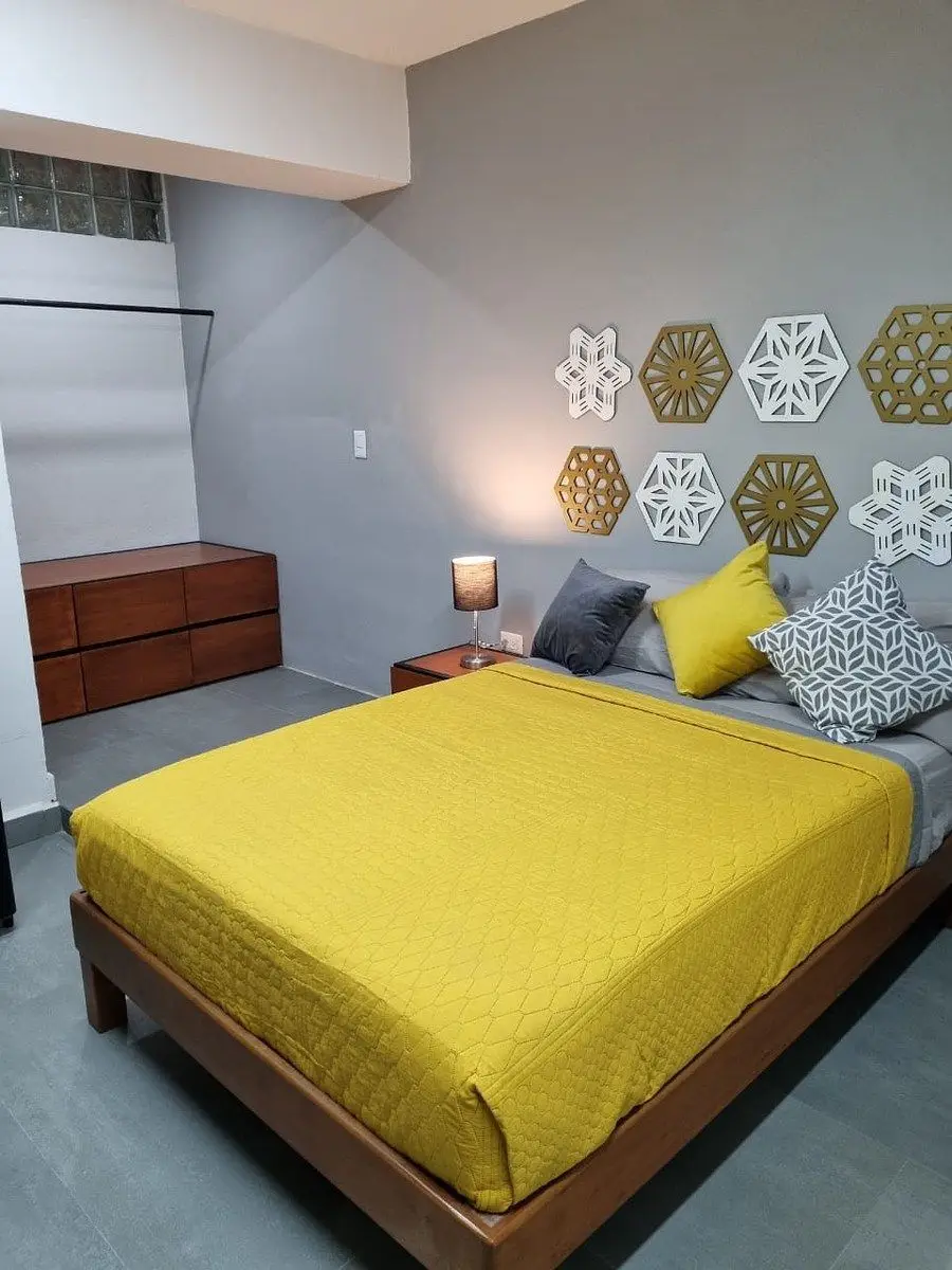 Estudio Amueblado en Planta Baja, Zona Col. México y Montecristo — foto 4