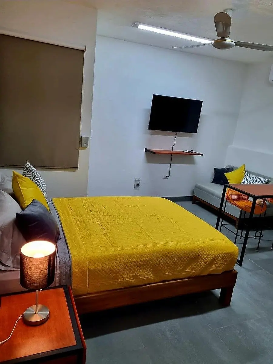 Estudio Amueblado en Planta Baja, Zona Col. México y Montecristo — foto 5
