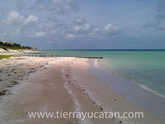 Casa la Conchita-Todo el Año en Chuburná Puerto — foto 8