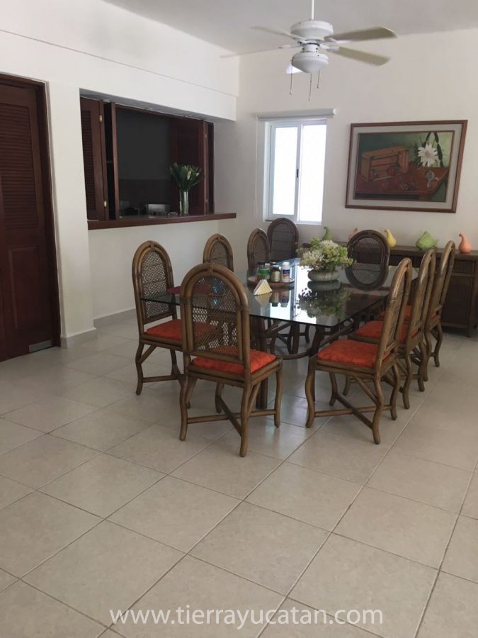 Casa Frente al Mar de Uaymitun | la Casa de Abu — foto 9